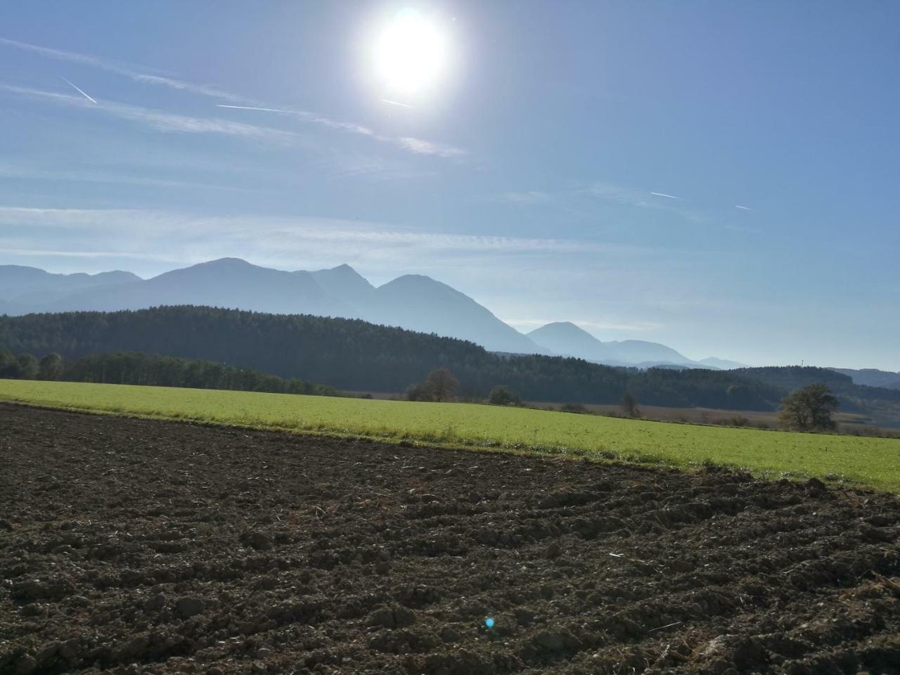 Landgasthof Piroutz Sankt Kanzian am Klopeiner See Εξωτερικό φωτογραφία